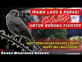 Download Lagu MASTERAN WAJIB BURUNG FIGHTER!! BURUNG MASTERAN Tembakan Rapat Dan Kasar || IRAMA LAGU MEWAH