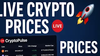 CryptoPulse Real-Time Cryptocurrency Tracker Built with React CoinGecko API Project