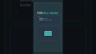 Learn CSS Box Model