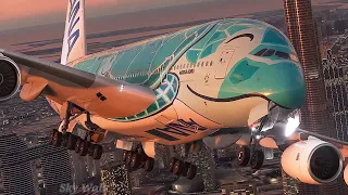                                                                                      دندنها