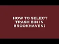 How to select trash bin in brookhaven