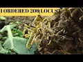 Unboxing 200 Locust What To Do With Them All Housing Care - SG