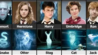 Harry Potter Character and Their Patronus