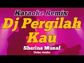 Download Lagu Pergilah Kau Sherina Munaf Karaoke Dj Remix