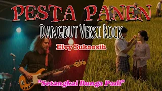 setangkai bunga padi pesta panen cover dangdut versi rock elvy sukaesih
