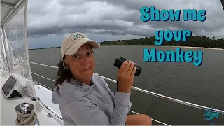 Show me your Monkey 🐒 | Cruising The ICW