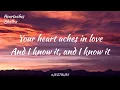 Shallou - Heartaches 💔 (Lyric Video) 🎵