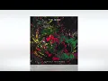 Tinlicker - Perfect Mistake (Extended Mix) | Anjunadeep | Track of the Day (04/10/2022)