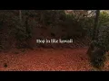 Kesha - ORIGAMI! (Lyrics)