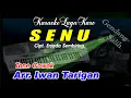 Download Lagu Karaoke Lagu Karo Senu Tone Cowok
