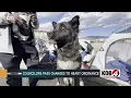 Ordinance passed to stop pet overpopulation in Albuquerque