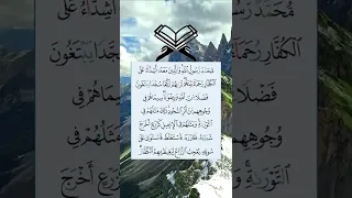 محمد رسول الله والذين معه اشداء على الكفار 