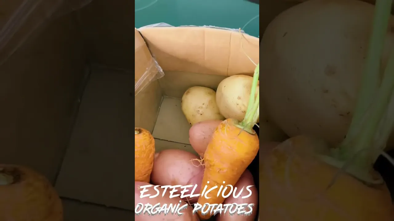 Organic, potato and carrot from @EsteeLicious  #viral  #shorts