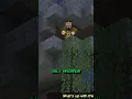Ivor Was Wrong About Sky City in Minecraft Story mode