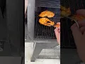 Pit Boss Meat Probes Honest Review