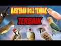 Download Lagu MASTERAN MURAI BATU FULL ISIAN TEMBAKAN TERBAIK MUDAH DITIRU MURAI TROTOL ISIAN JELAS DAN JERNIH