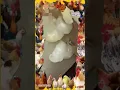 Blackheads Removal Acne Treatment and Very Satisfying Satisfying Pimple pop