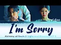 Download Lagu Ailee (에일리) - I'm Sorry (1 HOUR LOOP) Lyrics | 1시간 가사 [Alchemy of Souls OST]