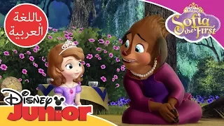 صوفيا الأولى   الأميرة شارلوت دندنها