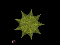 Draw star using python turtle