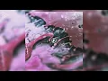 Download Lagu Linkin Park - From Zero (Full Album)