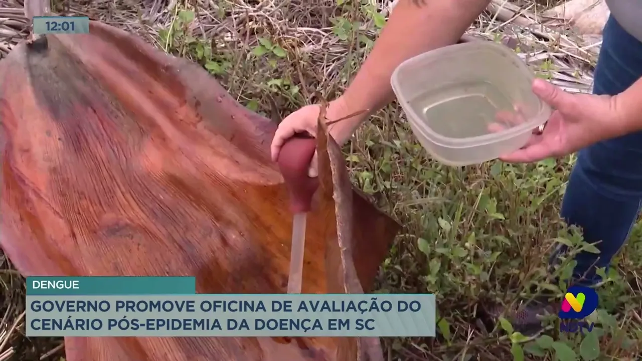 Governo promove oficina de avaliação do cenário pós-epidemia da dengue em SC