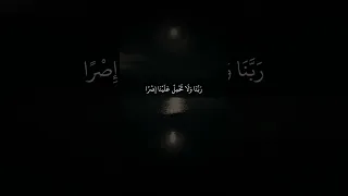 اواخر سورة البقرة بلال دربالي 