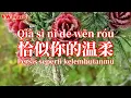 Download Lagu 恰似你的温柔 Qia si ni de wen rou - 蔡琴 Cai qin (Lirik dan terjemahan)