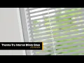 Therma-Tru Internal Blinds Lite Review