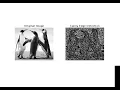 MATLAB Canny Edge Detection Tutorial Step-by-Step Implementation with Code