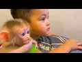 Download Lagu Sweeties Time Cute Kid \u0026 Adorable Ella Monkey