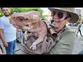 Jurassic World The Ride at Universal Studios Hollywood | 4K POV 60fps