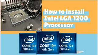 How To Install Intel LGA 1200 Processor