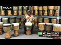 Melina Select Djembe 11'' - Demo by M'bemba Bangoura - Wula Drum