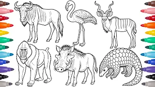 Coloring 6 Unique African Animals: Flamingo, Warthog, Mandrill, Pangolin & More!