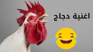 دجاجة تغني وترقص Chicken Song 