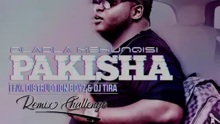 dladla mshunqisi ft dj tira u0026 distruction boyz pakisha pro tees rmx