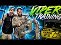 Training With The Deadliest Vipers In My Snake Room Close Calls