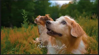Remember Me