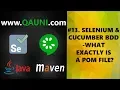 Selenium Cucumber BDD - Tutorial What Exactly is a POM File