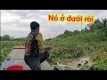 Download Lagu Run tay trúng bầy cá khủng - Lang thang câu cá vùng biên giới gần Campuchia