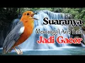 Download Lagu Anis Merah Official 32 | Banyak yang LANGSUNG BUNYI mendengar pancingan Anis Merah ini buktikan dala