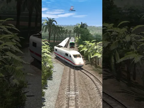 Kereta Api Cepat Melintasi Persilangan Disaat Ada Kereta Api Konvoi #train #railtrack #trainvideo