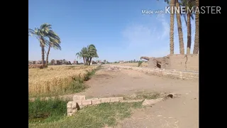 احلي مزمار صعيدي اغنية عل الحلوه والمرة الصعيدي يسلم 