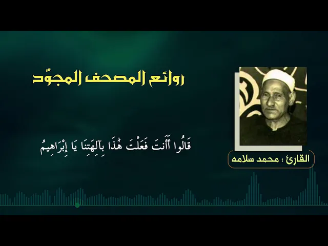 القارئ | محمد سلامة