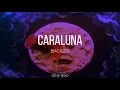 BACILOS - CARALUNA [LETRA]
