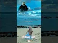 Download Lagu Iwan fals~cinta itu