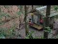 Download Lagu 2hari camping membangun shelter bambu di pinggir sungai mencari rebung dan masak kentang goreng