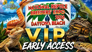 Daytona National Reptile Breeders Expo 2026 V I P early entry day