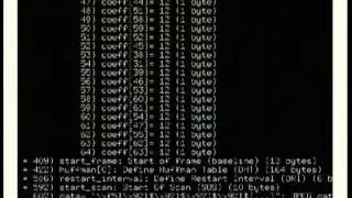 Console Applications with Urwid